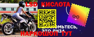PSILOCYBIN Бугуруслан