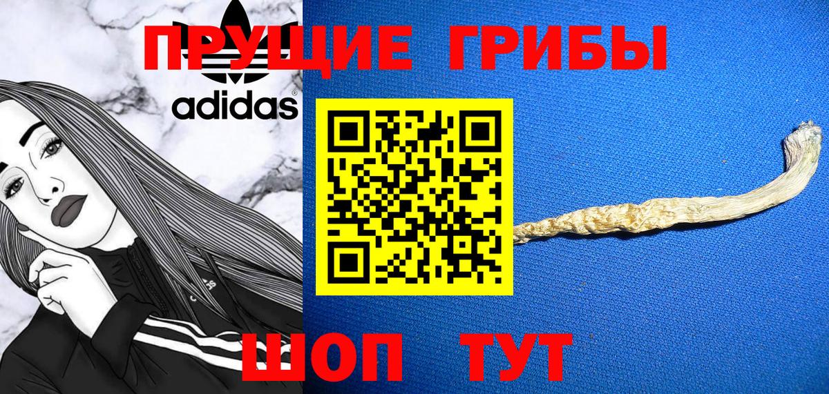 Псилоцибиновые грибы Cubensis Россошь